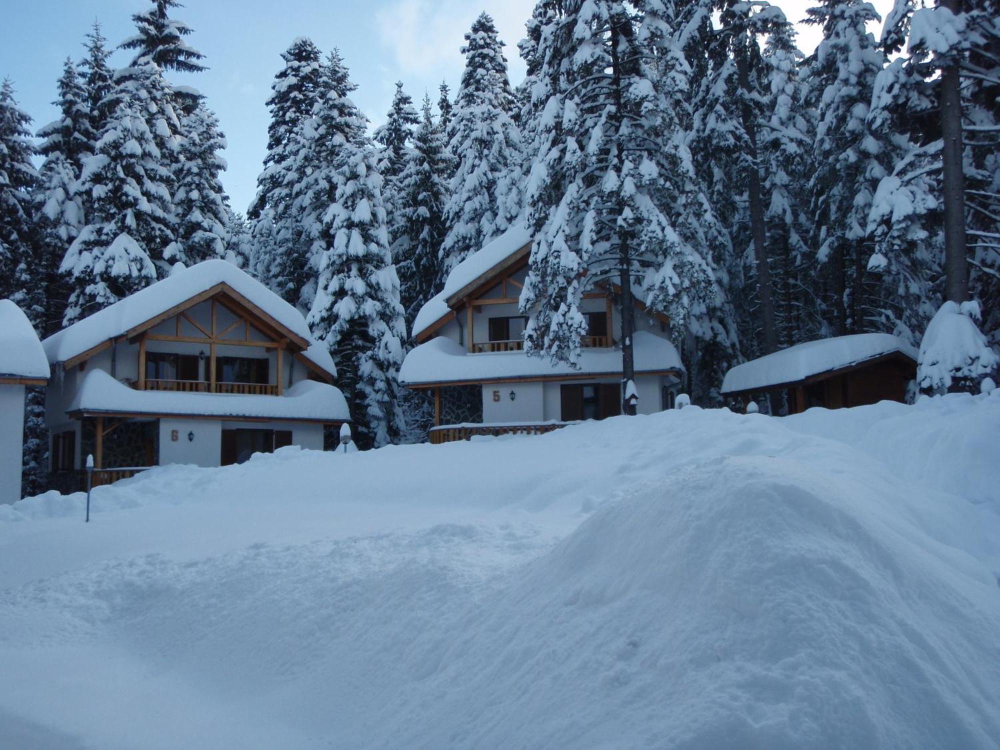 Saint George Holiday Village Borowec Zewnętrze zdjęcie